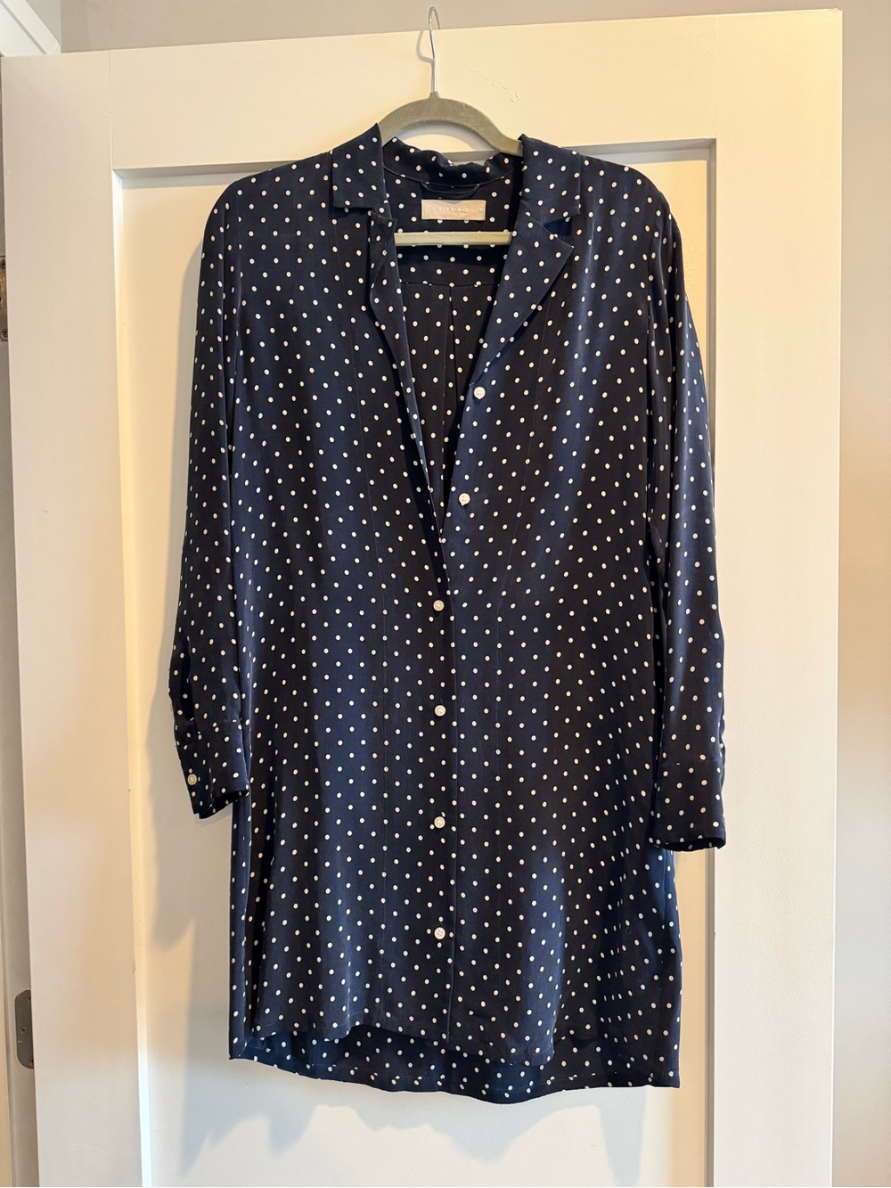 Everlane Navy Button-Down Shirt Dress with White Polka Dots and belt